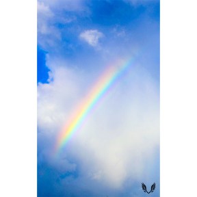 Part of a rainbow against a cloud and blue sky behind them